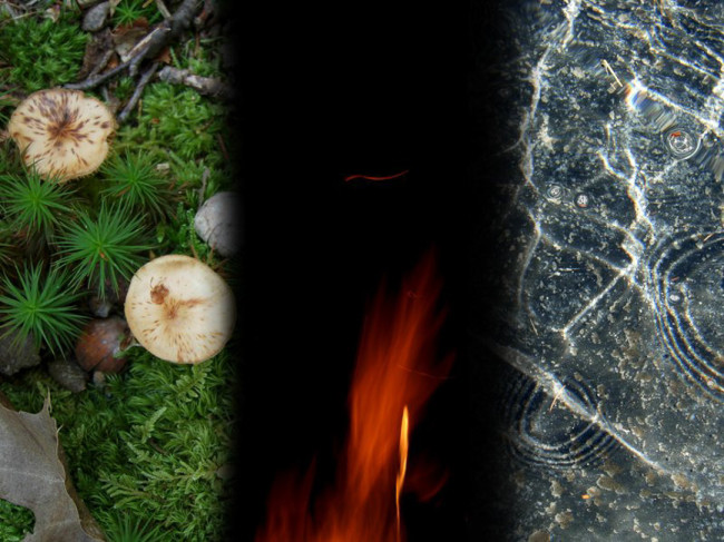 <p style="text-align: center;">Earth, Fire & Water - 2011 - 40" x 30"</p>