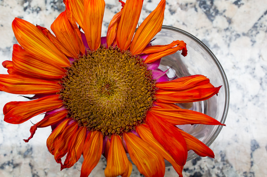 Flash of Perception – Photography