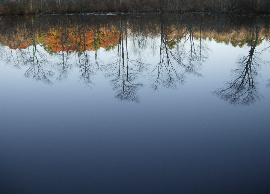 <p style="text-align: center;">Nequasset Creek Reflection - 2008</p>