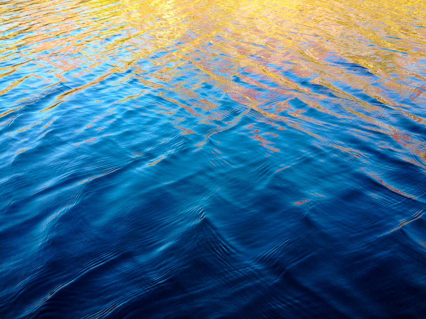 <p>Ripple - 2014</p>