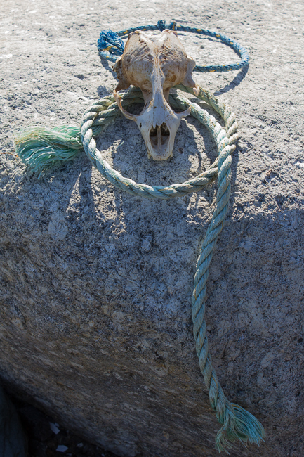 <p style="text-align: center;">Collaborative Beach Installation with Guy Marsden - 2011</p>