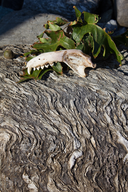 <p style="text-align: center;">Collaborative Beach Installation with Guy Marsden - 2011</p>