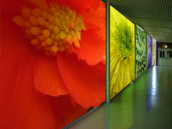 InSite – Installation