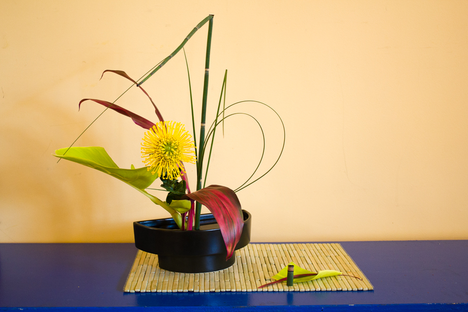 <p style="text-align: center;">Freestyle Arrangement - 2015</p>
