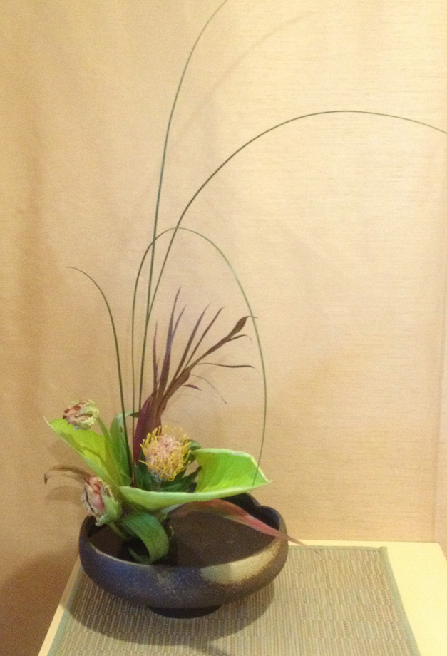 <p style="text-align: center;">Freestyle Arrangement - 2015</p>