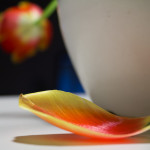 Playing with Lightroom – New Work