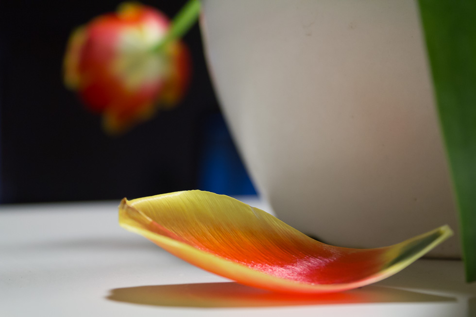 Playing with Lightroom – New Work