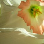 How I began as a contemplative photographer