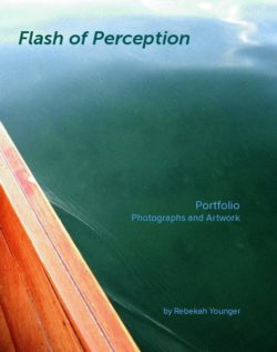 Flash of Perception Flash of Perception book by Rebekah Younger cover image